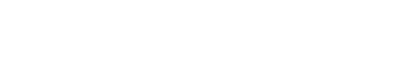 WordPress Professional Code
